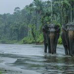 Must visit places to visit in India before you die